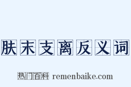 肤末支离反义词是什么意思的图片